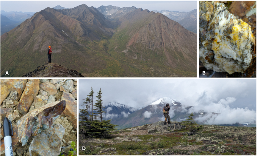 Figure 1: Surface exploration mapping and sampling photographs from the 2026 summer field season. A: Senior geologist Dr. Mike Sepp at Island Mountain. B: Sulfide stringers in vein quartz at Snow-Canyon Ridge. C: Quartz vein with pyrite and minor chalcopyrite in central suture-line (characteristic porphyry-style ‘B-vein’) at Long Lake Hills. D: Geologist Jared Liimu prospecting and mapping at Long Lake Hills. Mineral occurrences shown are visual observations only and should not be considered a proxy for assay results.